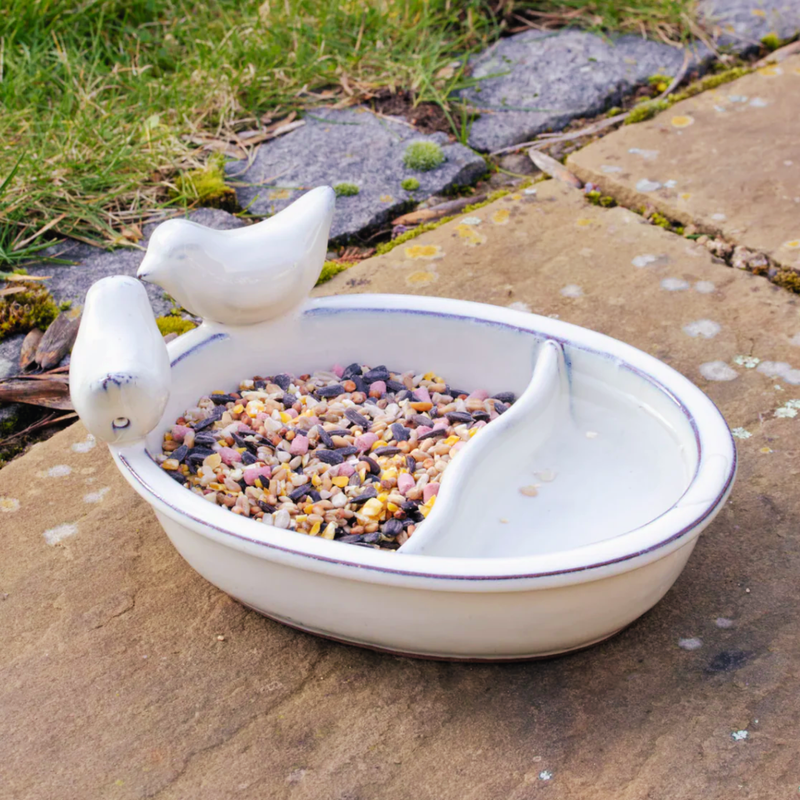 Bird Care & Wildlife