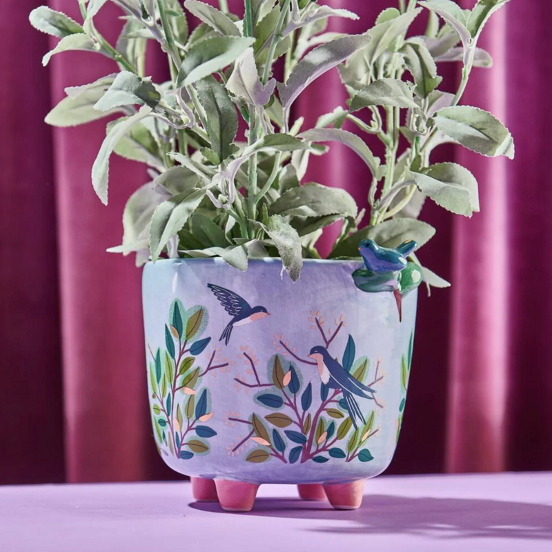 Plants, Pots & Gardening Tools