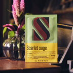Botanical Alphabet Seed Sachet