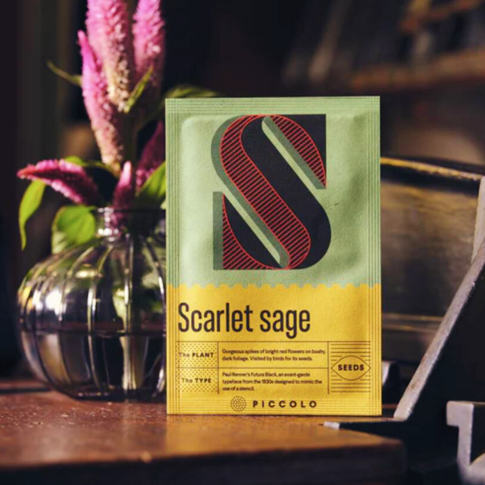Botanical Alphabet Seed Sachet