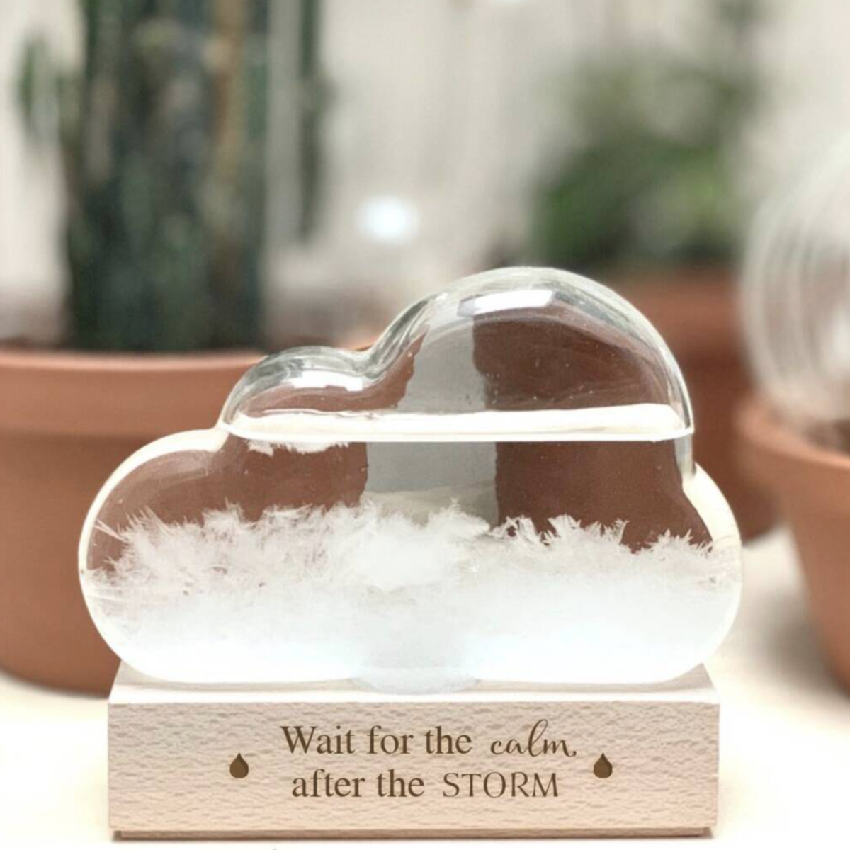 Personalised Storm Cloud Weather Predictor