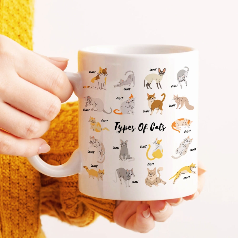 Types Of Cats Funny Mug
