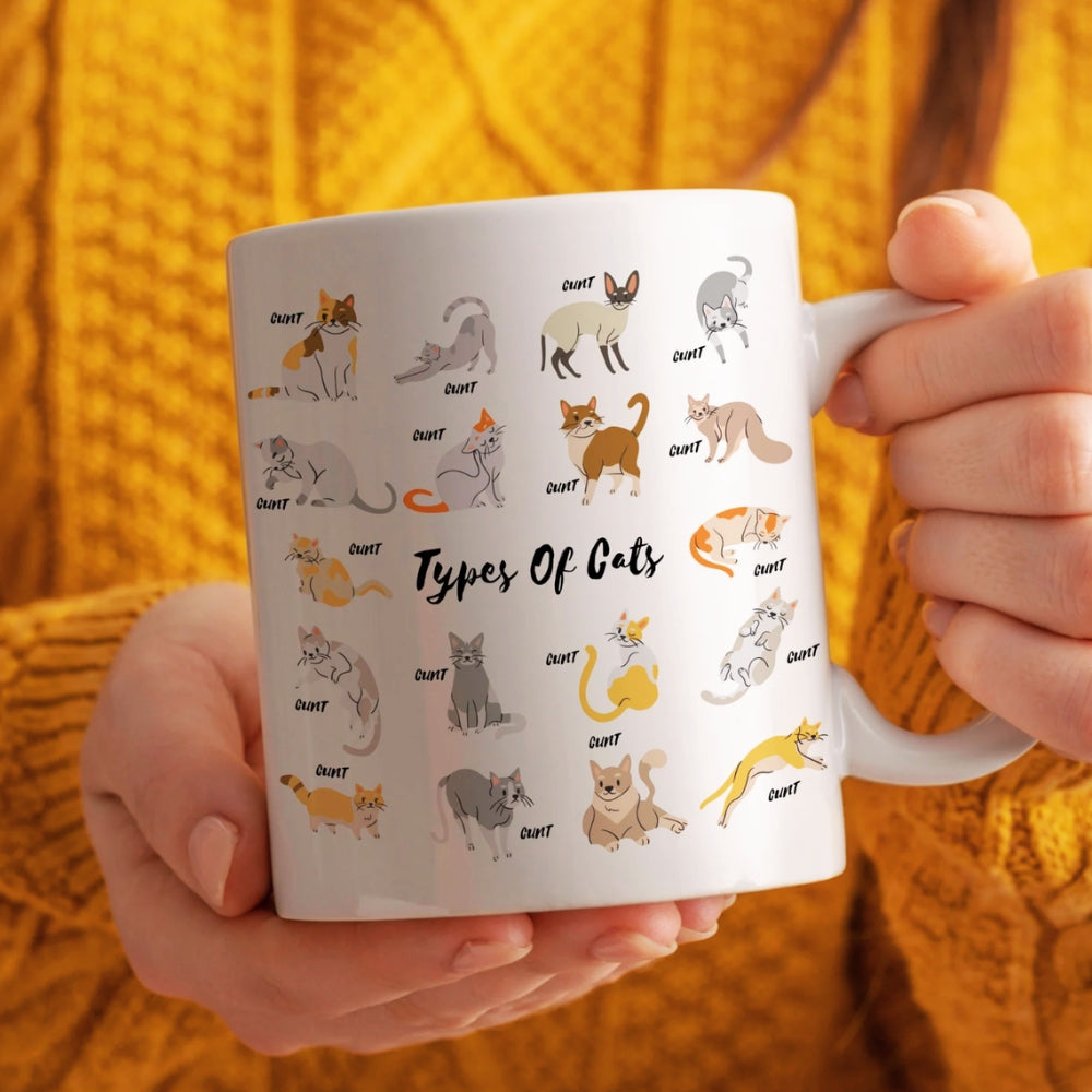 Types Of Cats Funny Mug