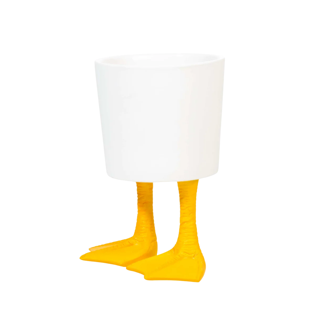Large Ceramic Duck Feet Planter
