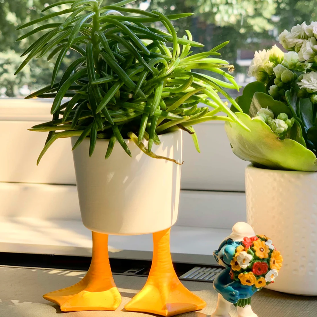 Large Ceramic Duck Feet Planter