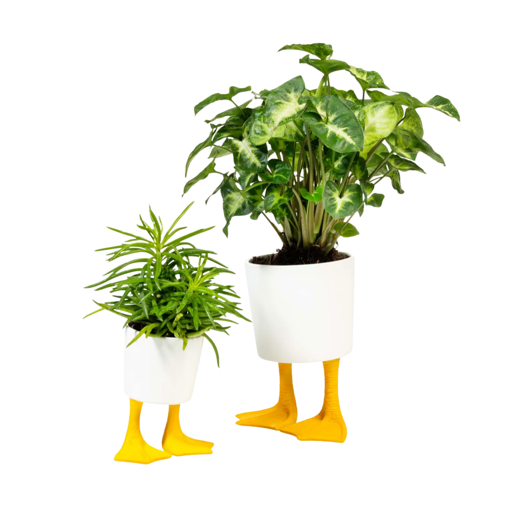 Large Ceramic Duck Feet Planter