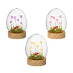 Flower Dell LED Glass Dome Light