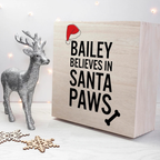 Personalised Santa Paws Christmas Eve Box