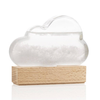 Personalised Storm Cloud Weather Predictor