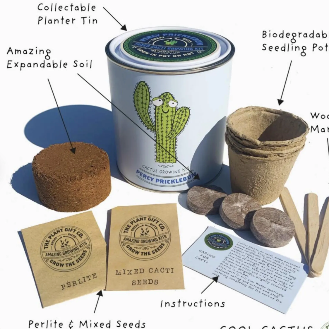 Personalised Grow Your Own Cacti Kit