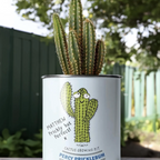Personalised Grow Your Own Cacti Kit