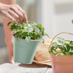 Personalised Family Bucket Gardening Gift