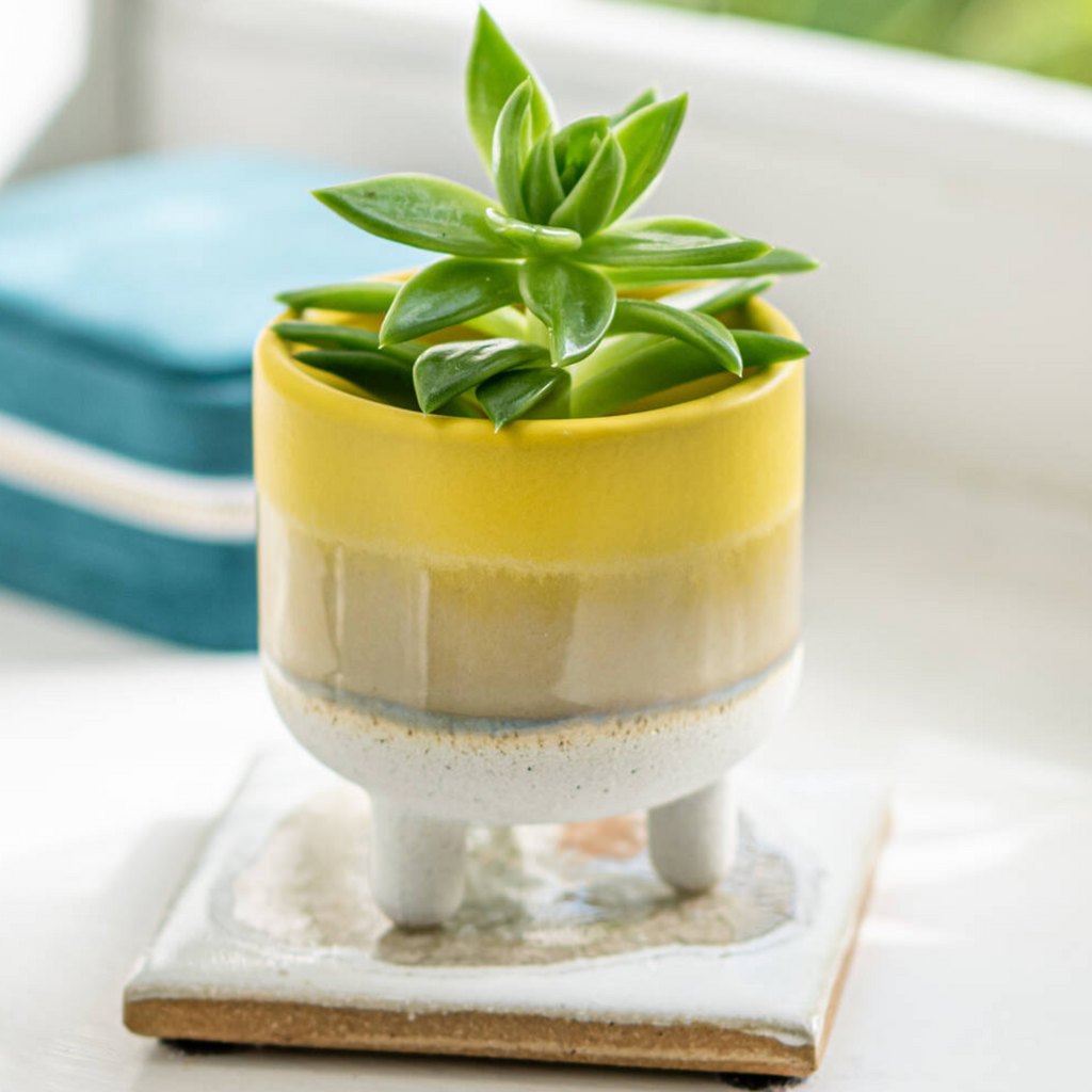 Dip Glazed Stoneware Yellow Planter