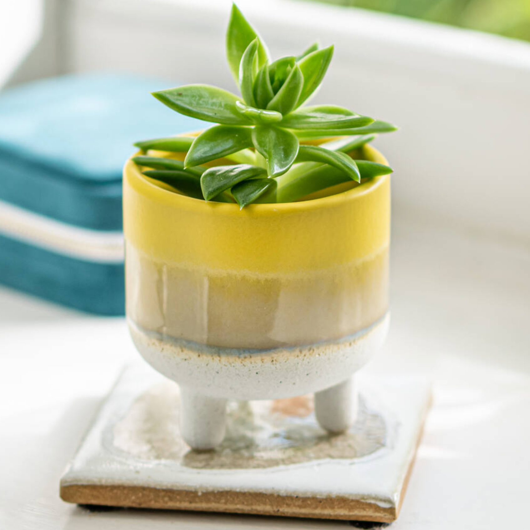 Dip Glazed Stoneware Yellow Planter