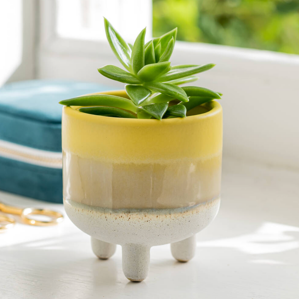 Dip Glazed Stoneware Yellow Planter