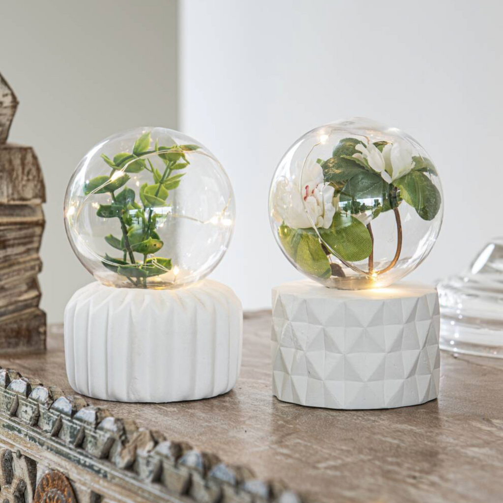 LED Plant Fairy Light Terrarium
