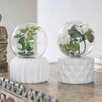 LED Plant Fairy Light Terrarium