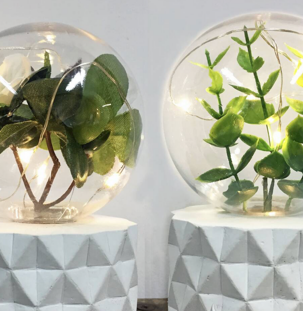 LED Plant Fairy Light Terrarium