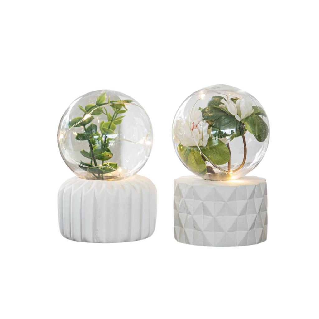 LED Plant Fairy Light Terrarium
