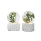 LED Plant Fairy Light Terrarium