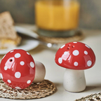 Red Mushroom Salt and Pepper Set