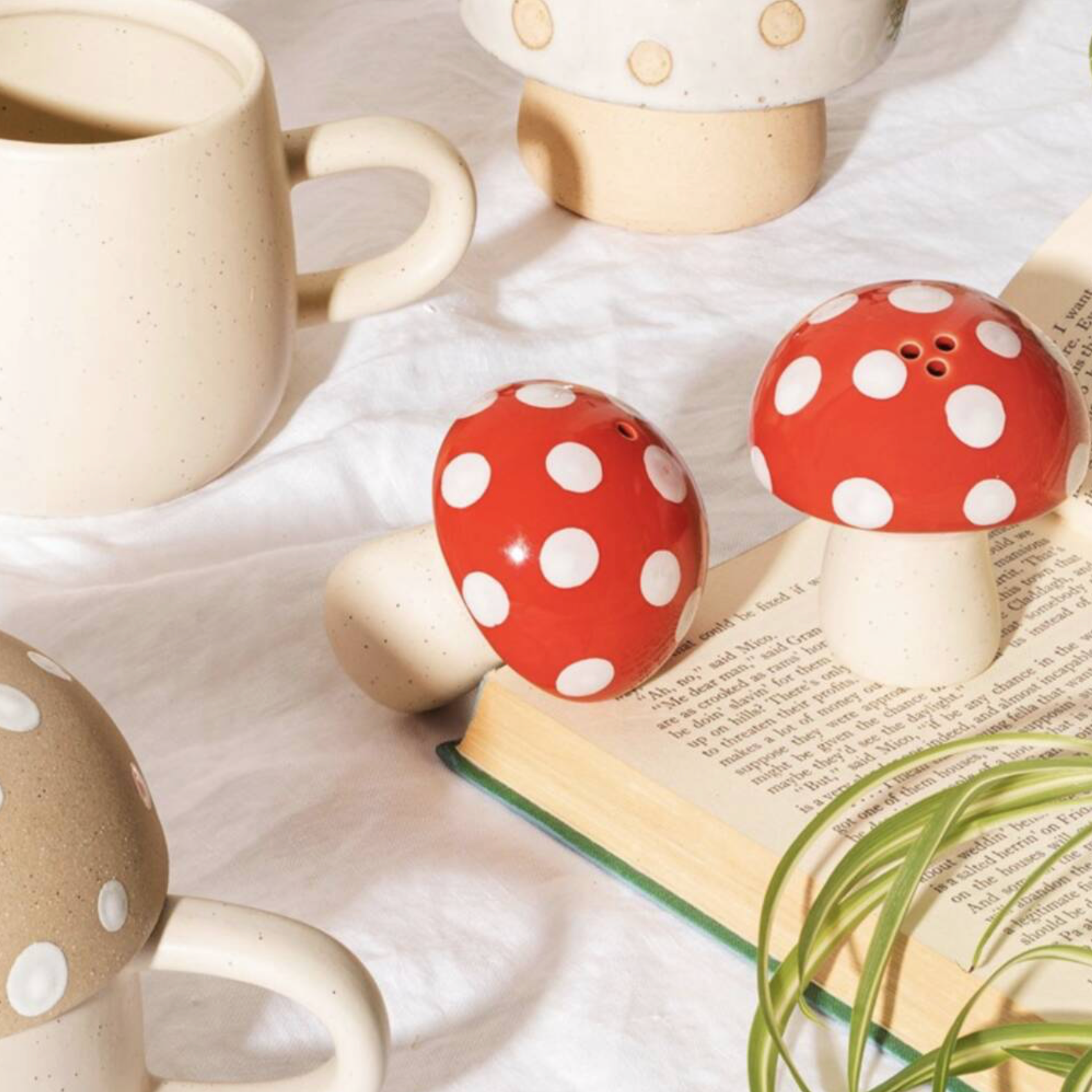Red Mushroom Salt and Pepper Set