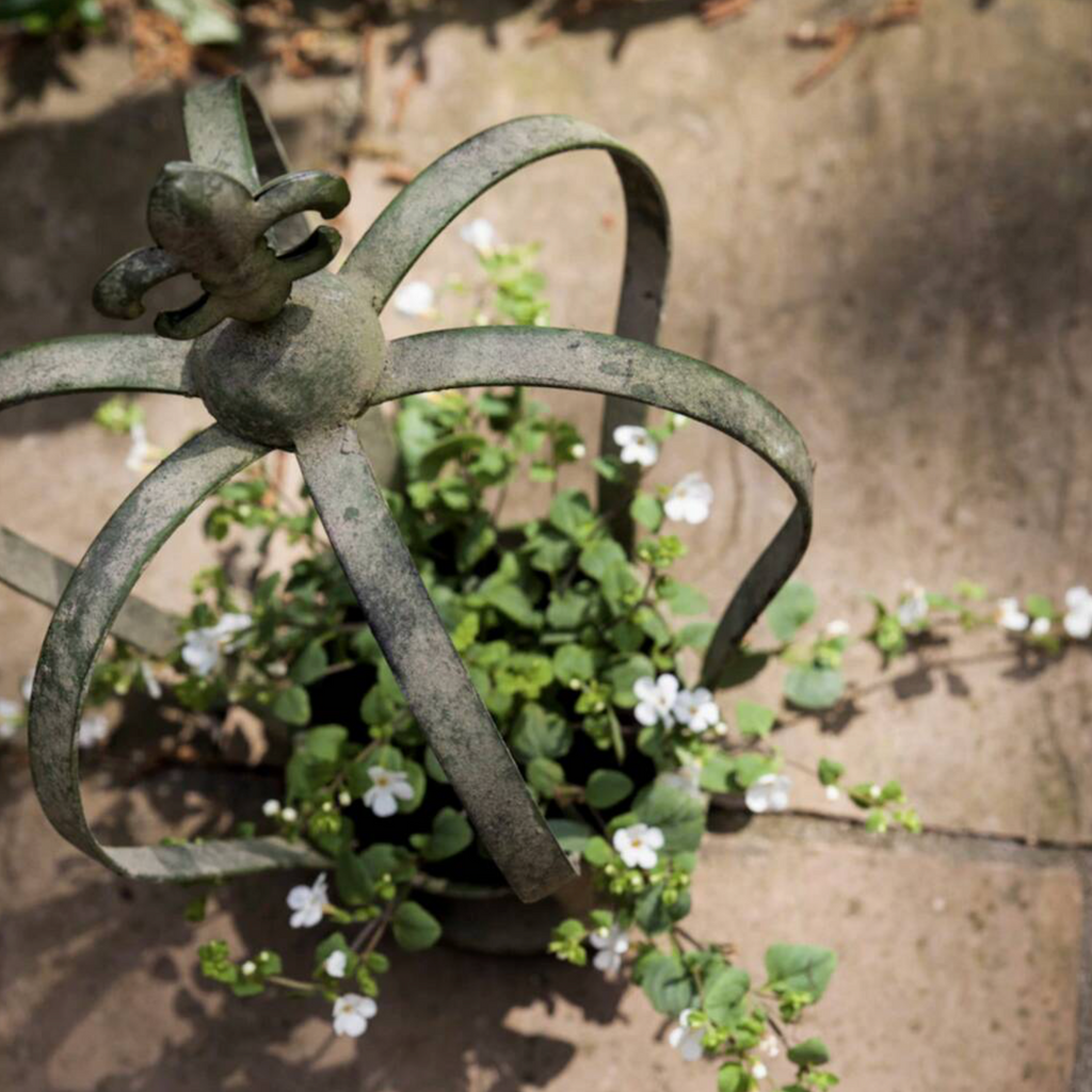 Aged Metal Green Crown Planter
