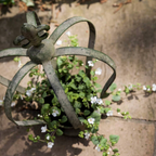 Aged Metal Green Crown Planter