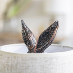 Hiding Rabbit Table Lamp with Shade