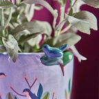 Gift Boxed Secret Garden Bird Planter