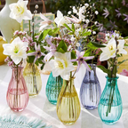 Boho Delicate Glass Bud Vases