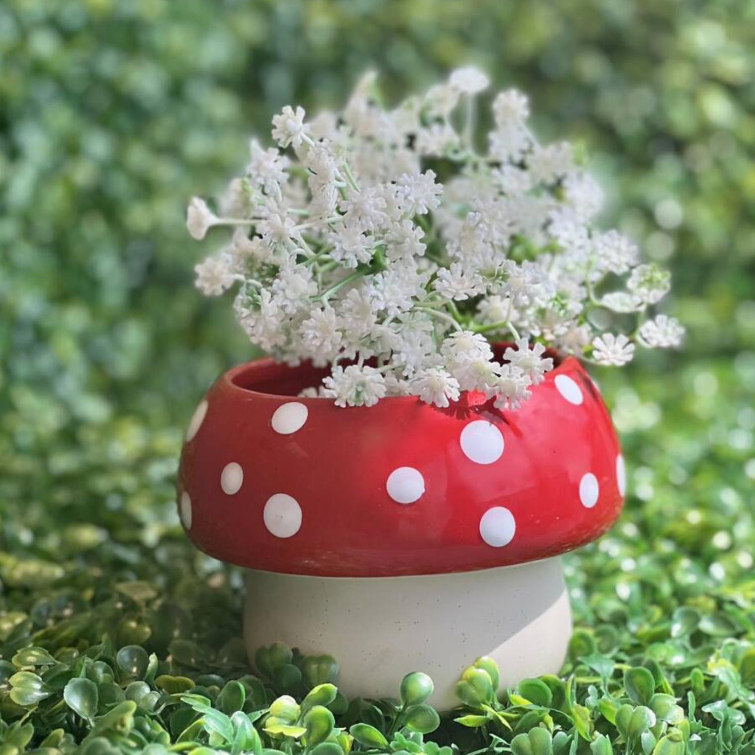 Red Mushroom Large Planter