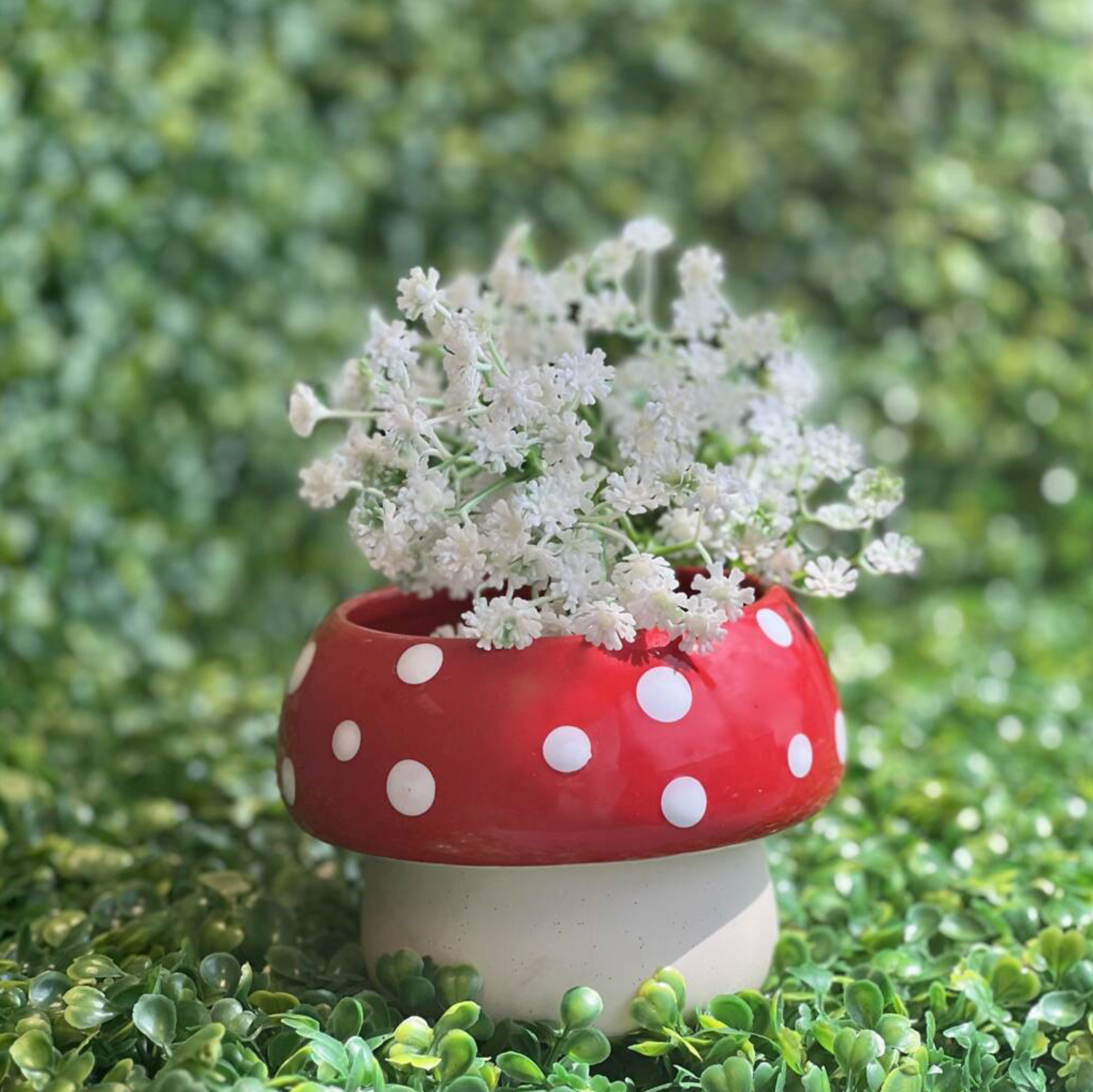 Red Mushroom Large Planter