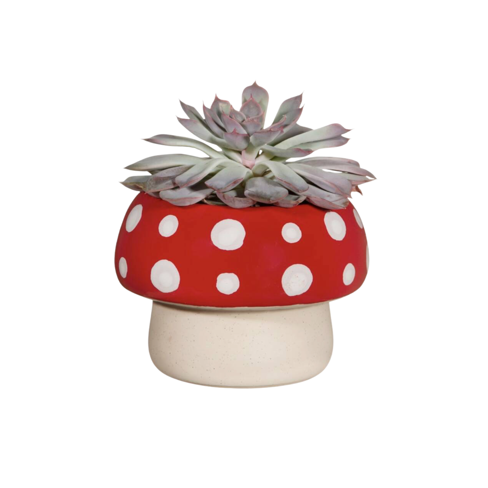 Red Mushroom Large Planter