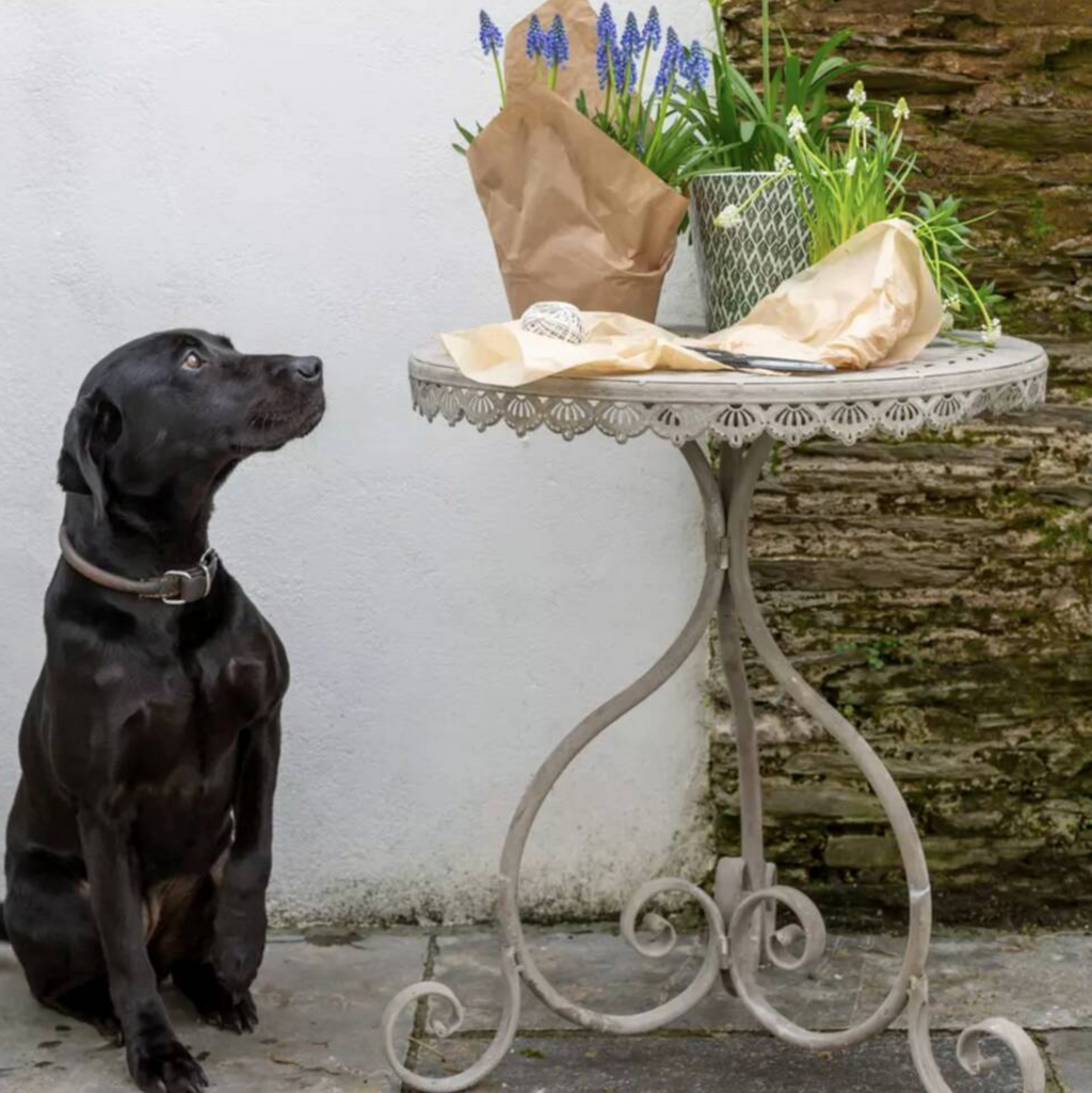 Garden Metal Table