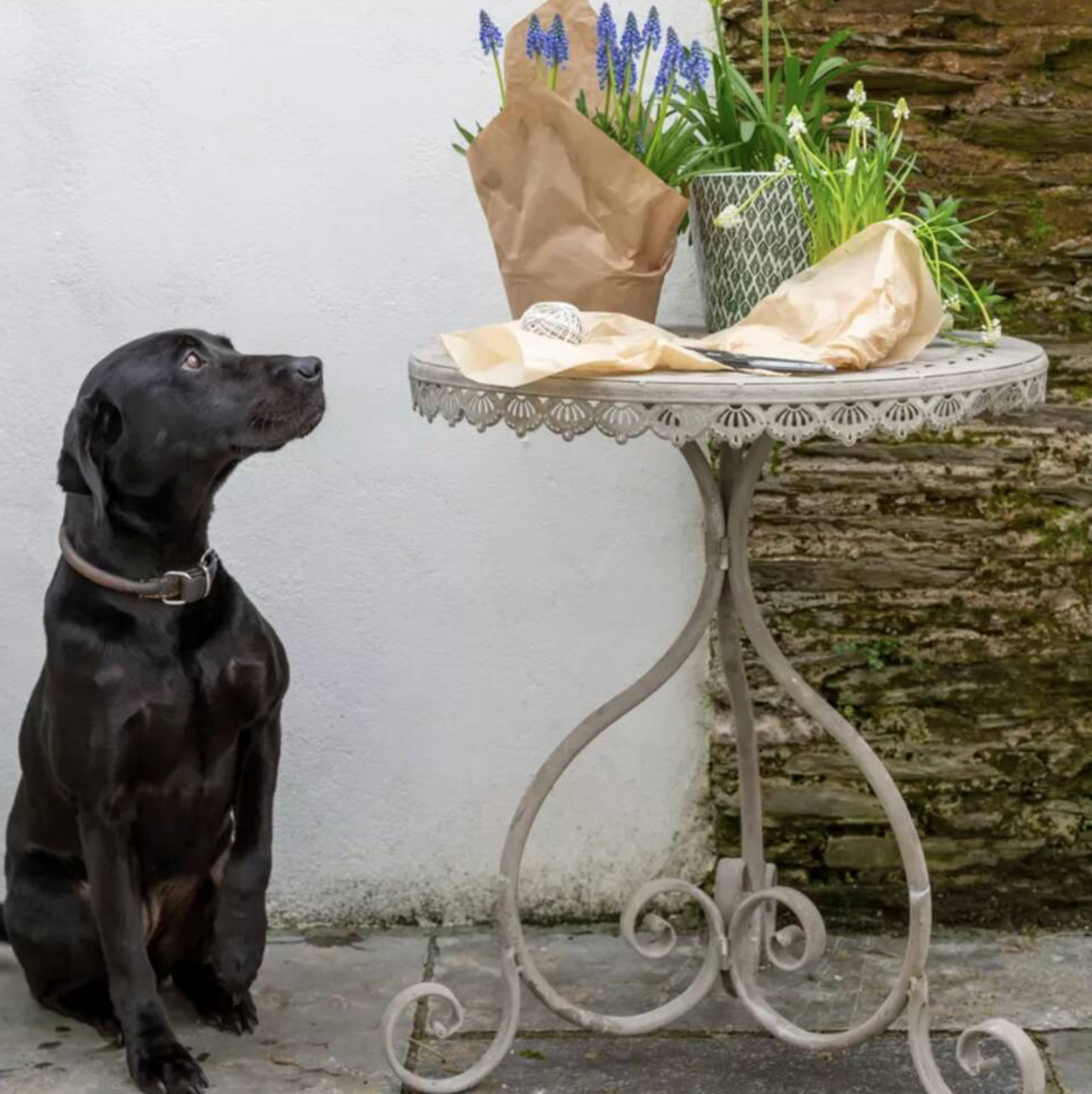Garden Metal Table