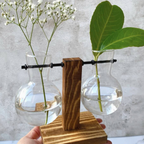 Hydroponic Plant Vases On Wooden Stands