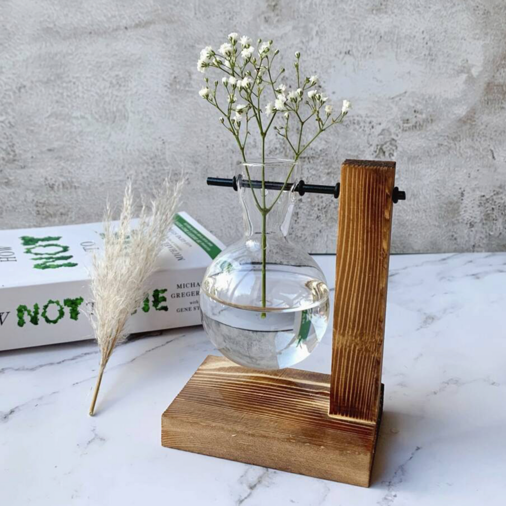 Hydroponic Plant Vases On Wooden Stands