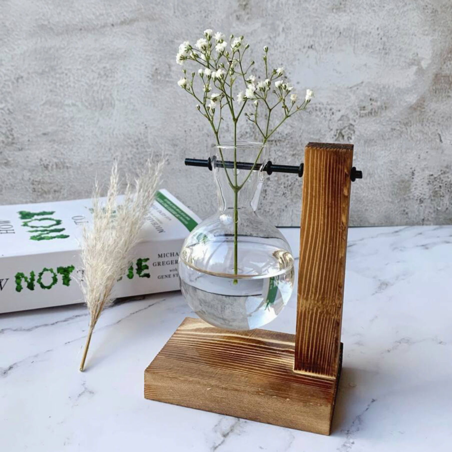 Hydroponic Plant Vases On Wooden Stands