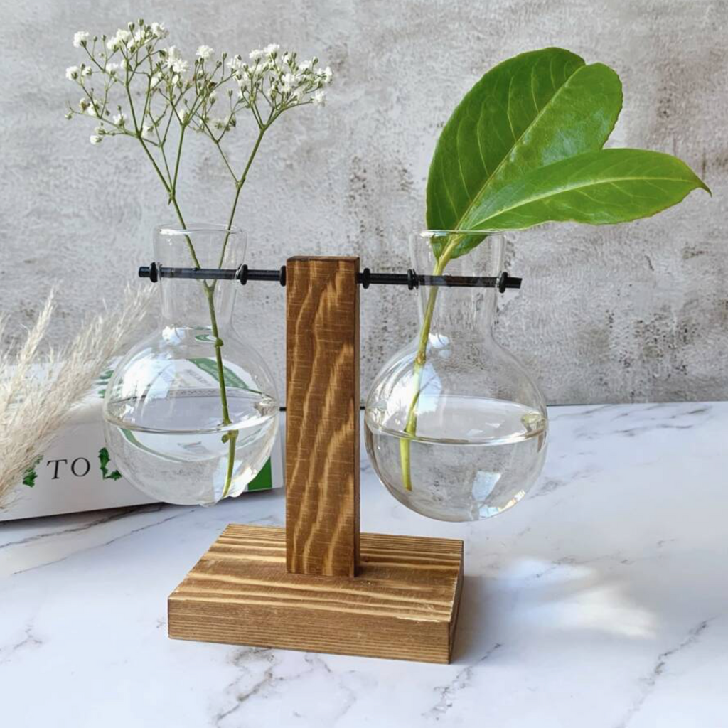 Hydroponic Plant Vases On Wooden Stands