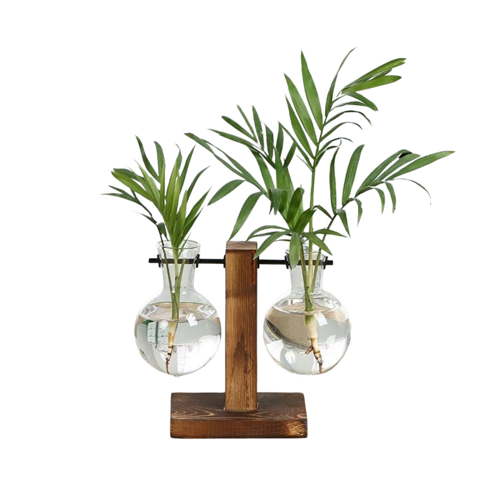 Hydroponic Plant Vases On Wooden Stands