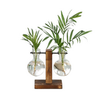Hydroponic Plant Vases On Wooden Stands