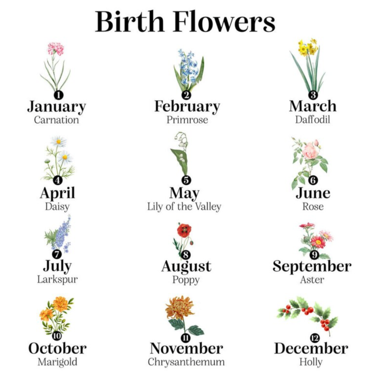 Personalised Birth Flower Family Print