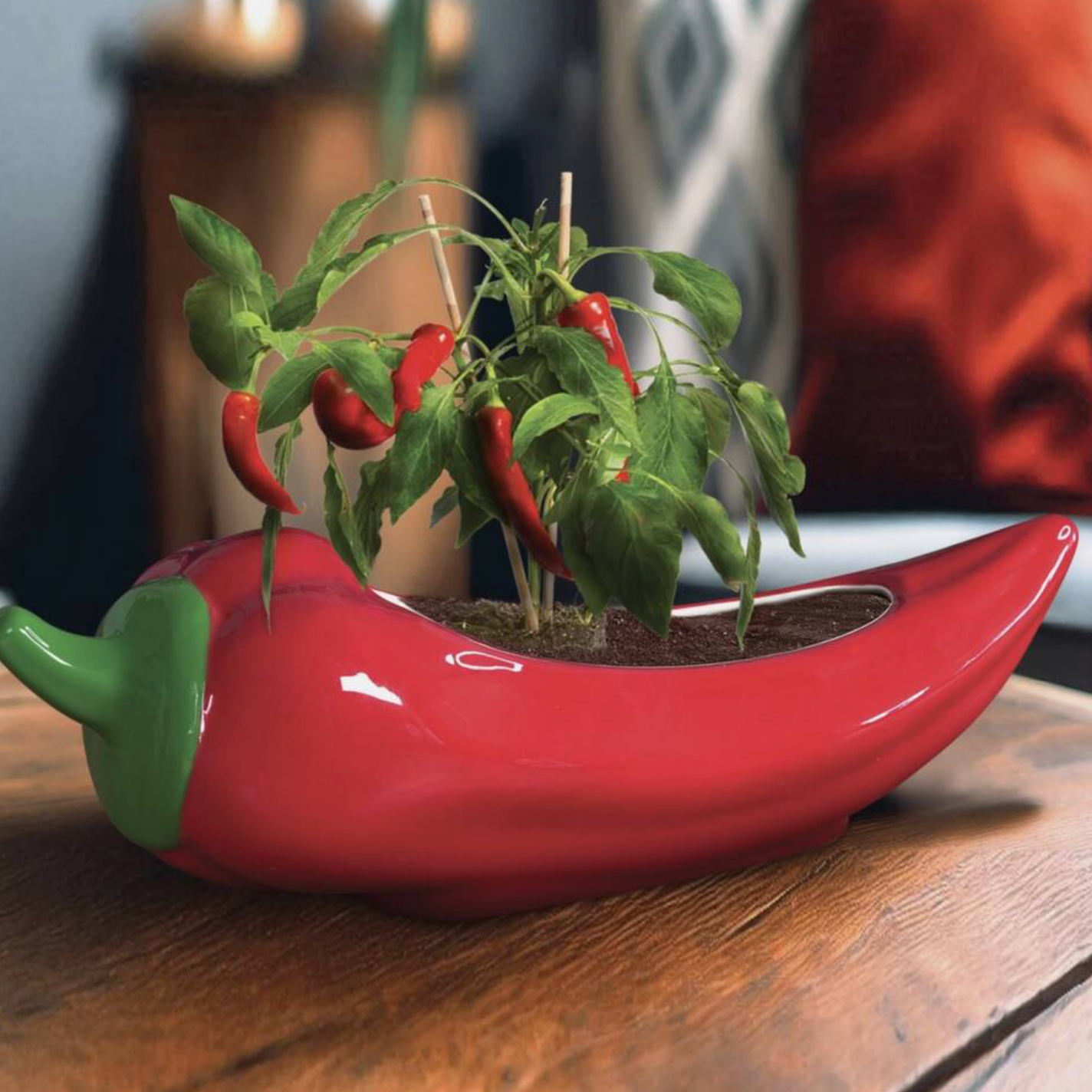 Red Hot Chili Planter