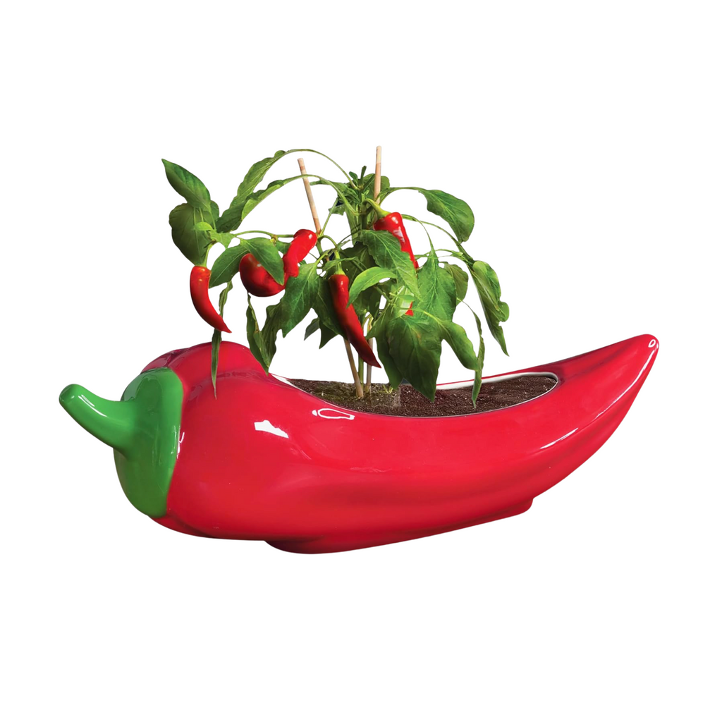 Red Hot Chili Planter