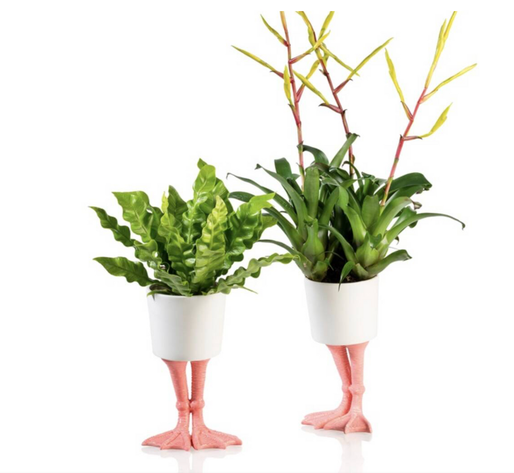 Ceramic Flamingo Feet Planter