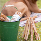 Green bucket with wooden sticks and a dog in the background