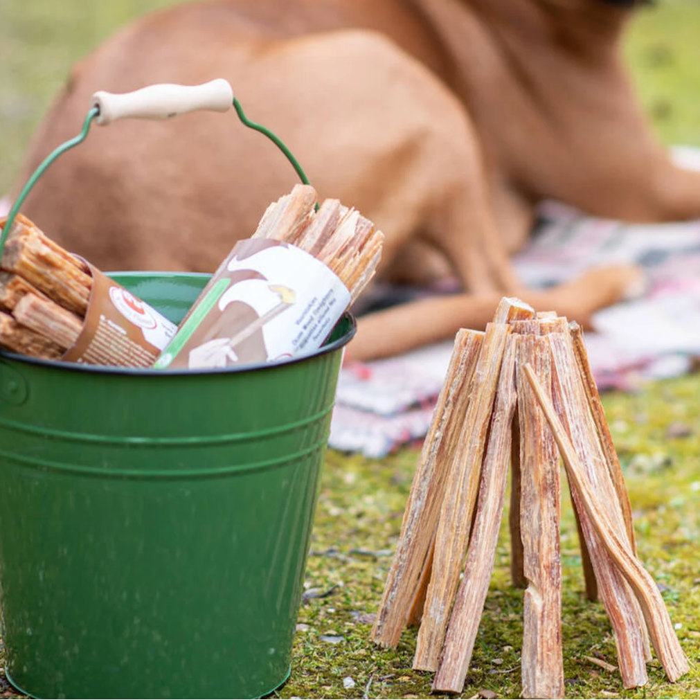 Green bucket with wooden sticks and a dog in the background