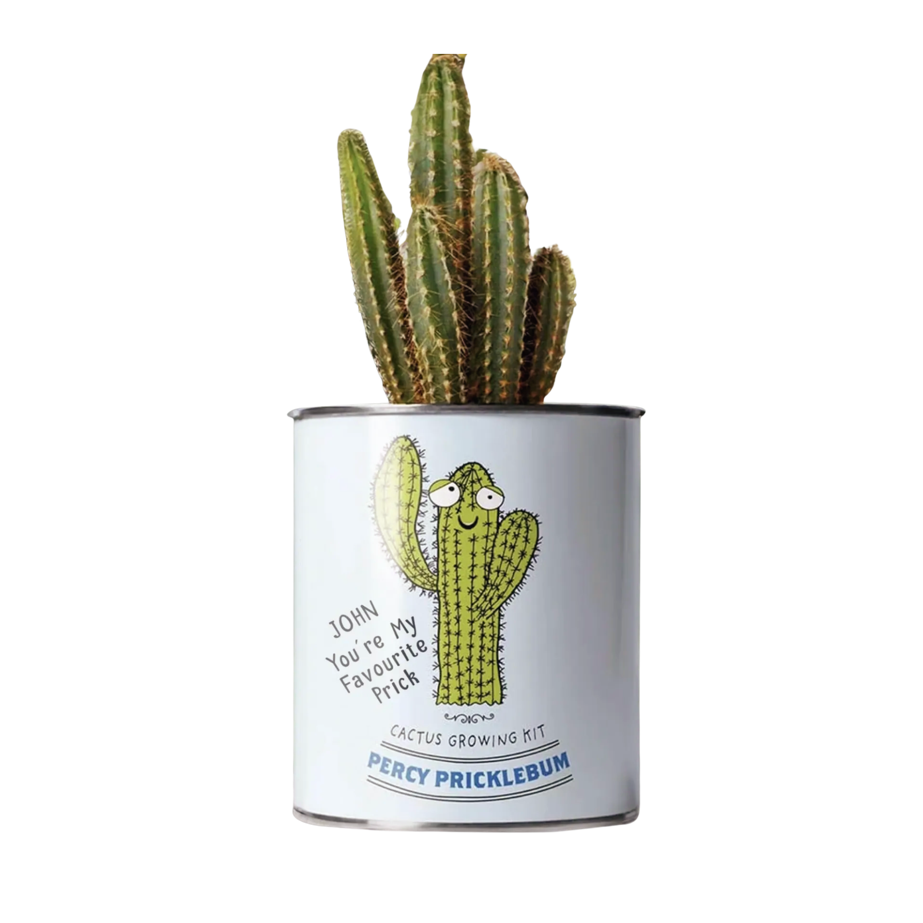 Personalised Grow Your Own Cacti Kit