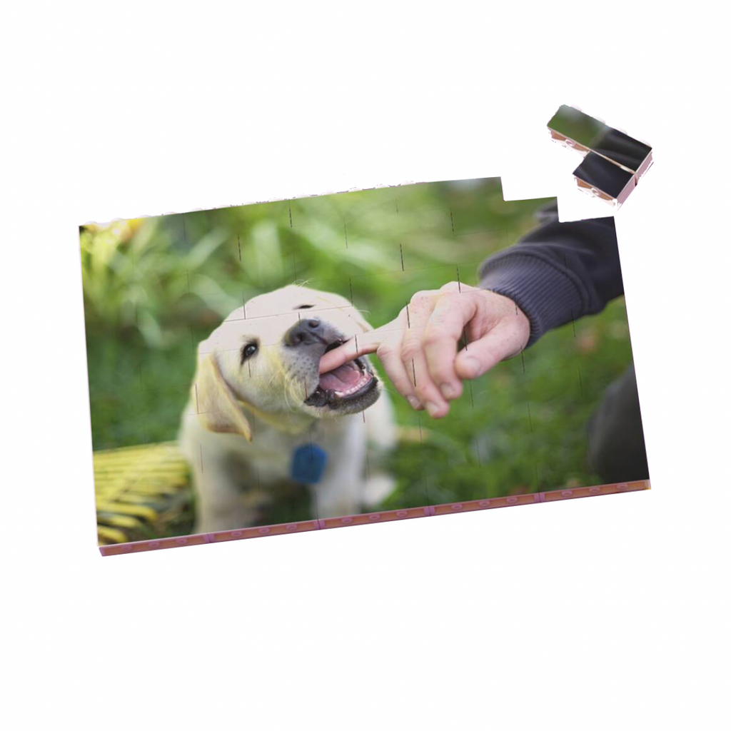 Personalised Pet Building Brick Photo Puzzle